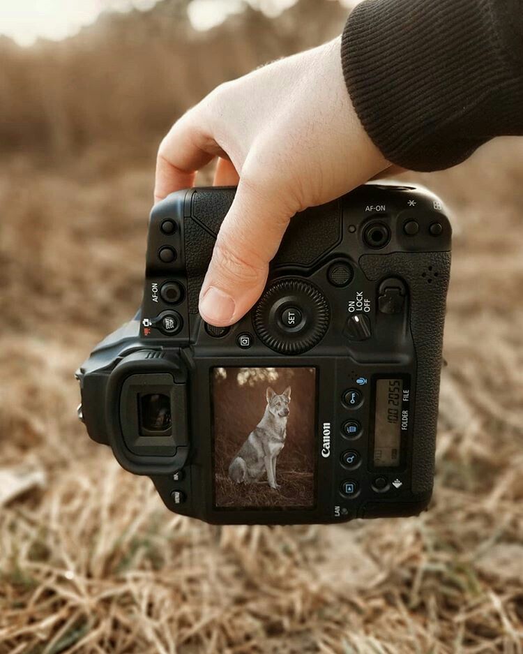 Camera